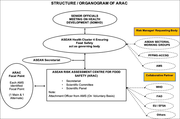 latest_organisation_structure.jpeg